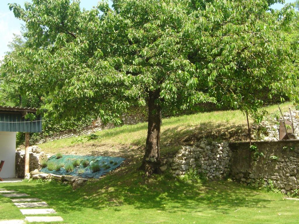 Cote Jardin Lägenhet Saint-Jean-en-Royans Exteriör bild
